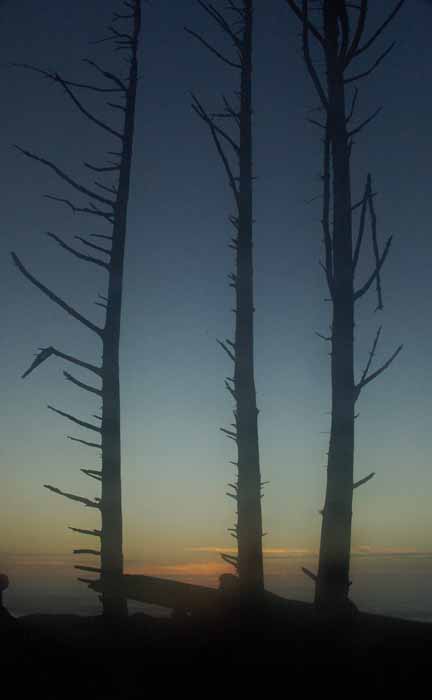 Rialto Beach